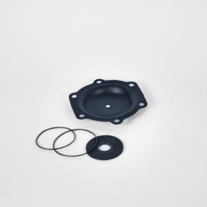 Kit Diaphragm + Joints Buna 425-RA